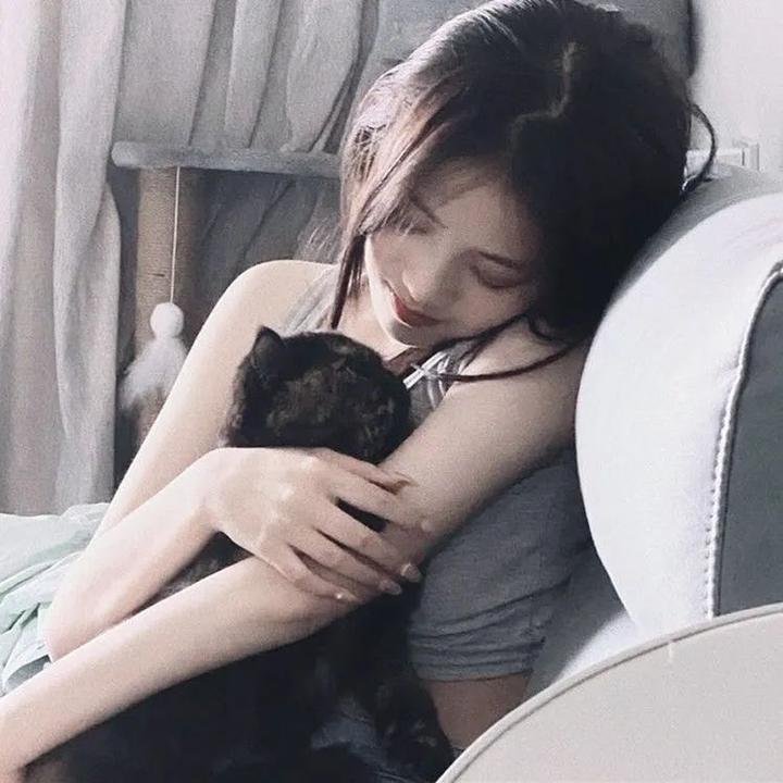 名校风暴第二季